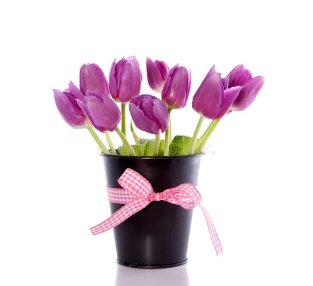 Purple Tulip Bouquet