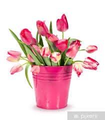 Red Tulip Bouquet